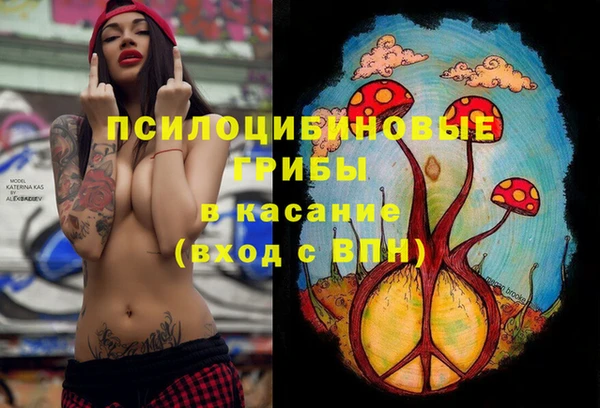 крисы Дмитриев