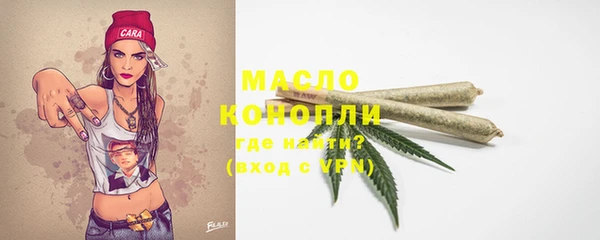 СК Ельня